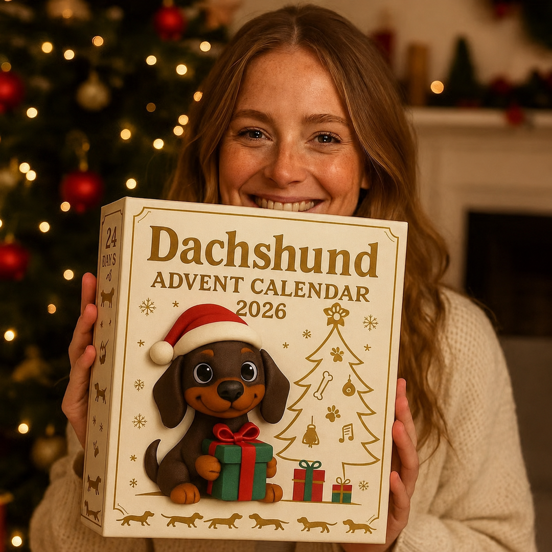 Dachshund Advent Calendar 2026