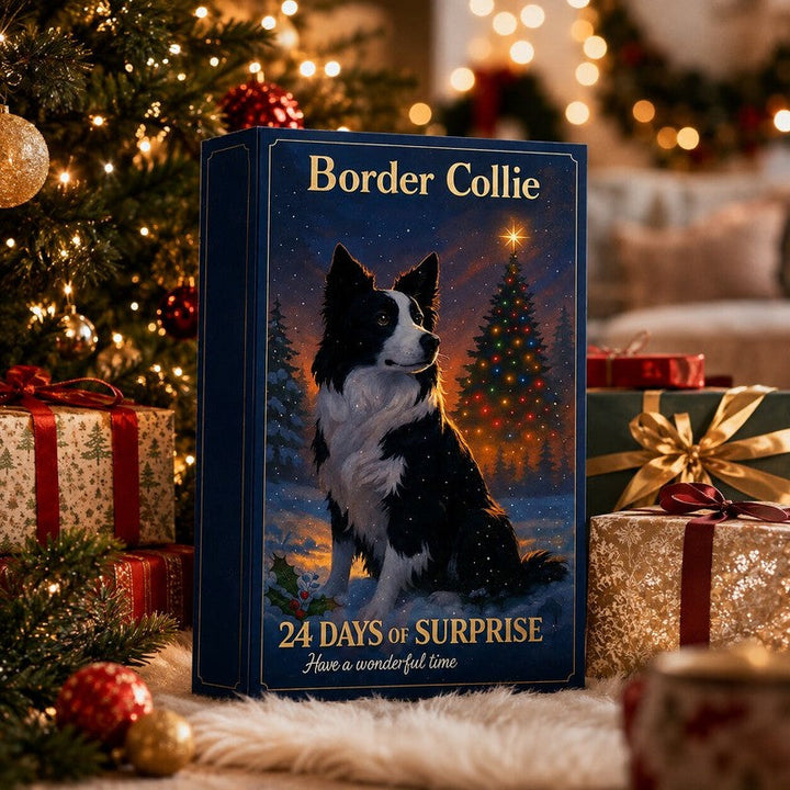 Border Collie Advent Calendar 2026 – 24 Figurines