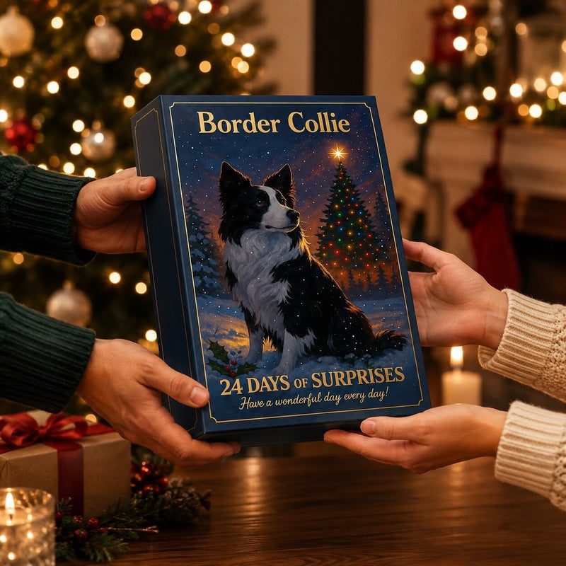 Border Collie Advent Calendar 2026 – 24 Figurines